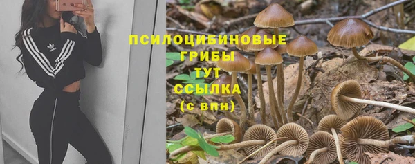 прущая мука Бугульма