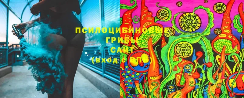 Галлюциногенные грибы Cubensis  Киренск 